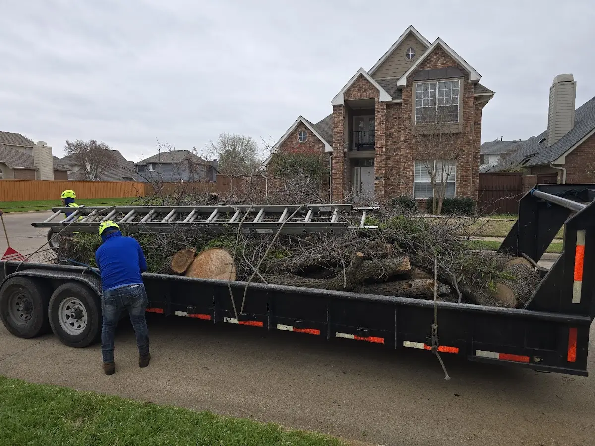 Expert Tree Fertilization with proper safety equipment in Elsa